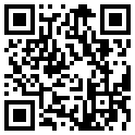 qr code citywall