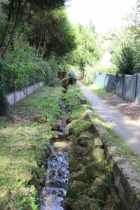 Ruisseau du Corchu - partie basse