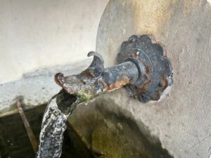 Gargouille du Lavoir du Bas