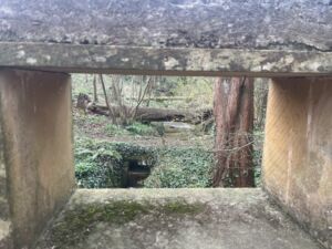 Fenêtre sur le Grand Magasin