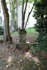 Parc d'Arros - socle