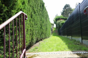 Sentier menant au point de vue