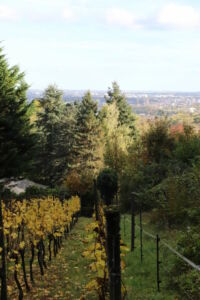 Taye aux Vaches - vue sur Metz