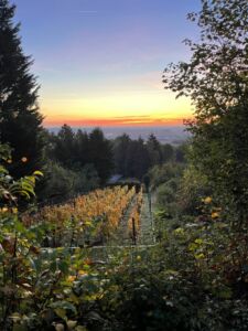 Taye aux Vaches - levé de soleil en automne